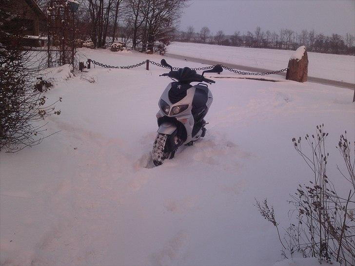 Peugeot speedfight 2 til comet  billede 1