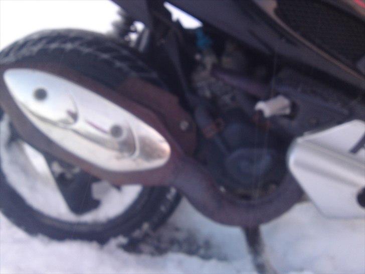 Peugeot speedfight 2 til comet  billede 3