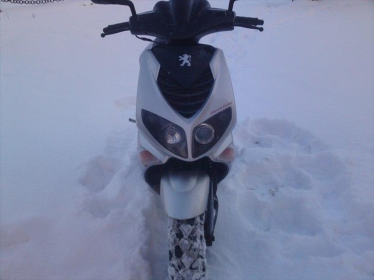 Peugeot speedfight 2 til comet  billede 5