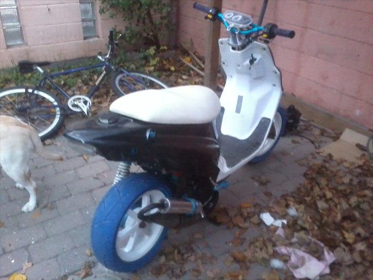 PGO pgo hot 50 billede 4