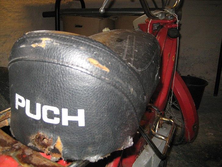 Puch Maxi billede 1