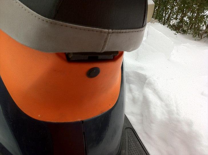 Honda sfx - Solgt  billede 8