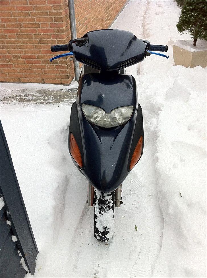 Honda sfx - Solgt  - Det er ikke skader på skjoldene de hvide pletter det er sne fnuk  billede 9