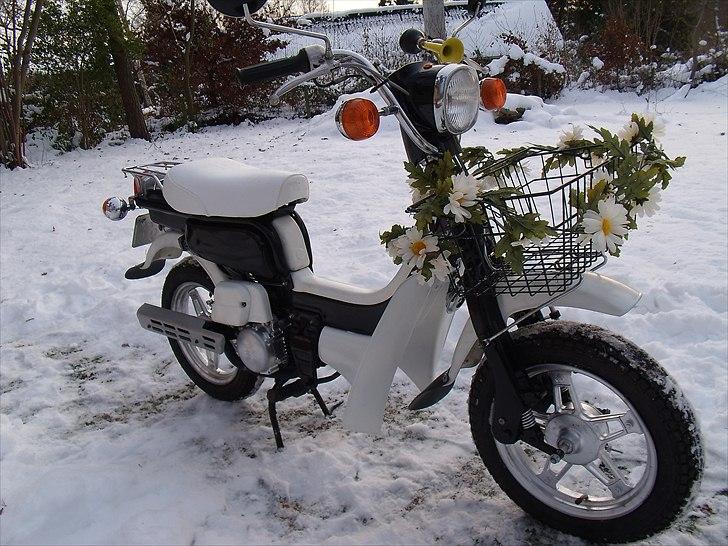 Suzuki CR 50 billede 1