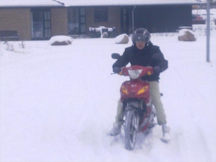 Suzuki Wonjan billede 1