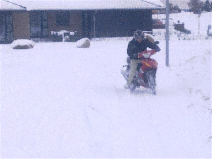 Suzuki Wonjan billede 2