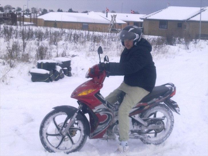 Suzuki Wonjan billede 4