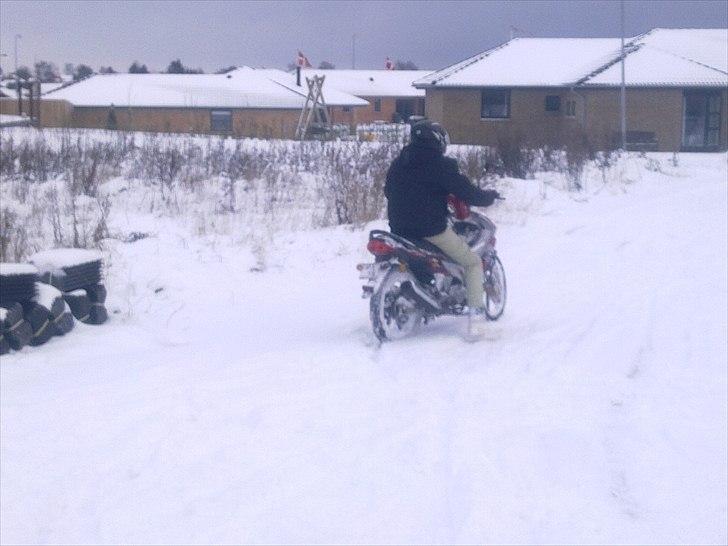 Suzuki Wonjan billede 5