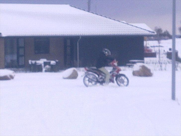 Suzuki Wonjan billede 6