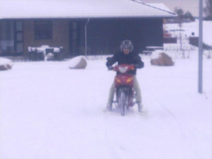 Suzuki Wonjan billede 7