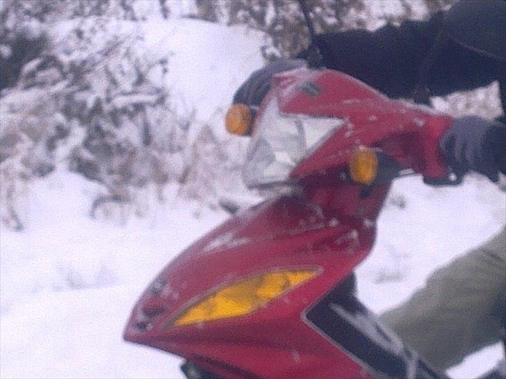 Suzuki Wonjan billede 8