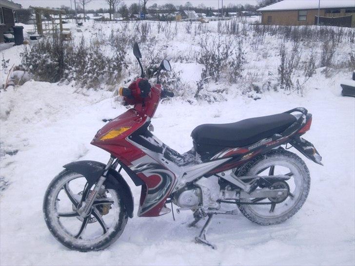 Suzuki Wonjan billede 9