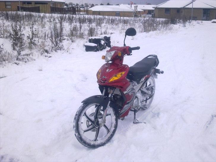 Suzuki Wonjan billede 10