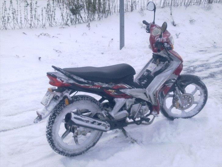 Suzuki Wonjan billede 12