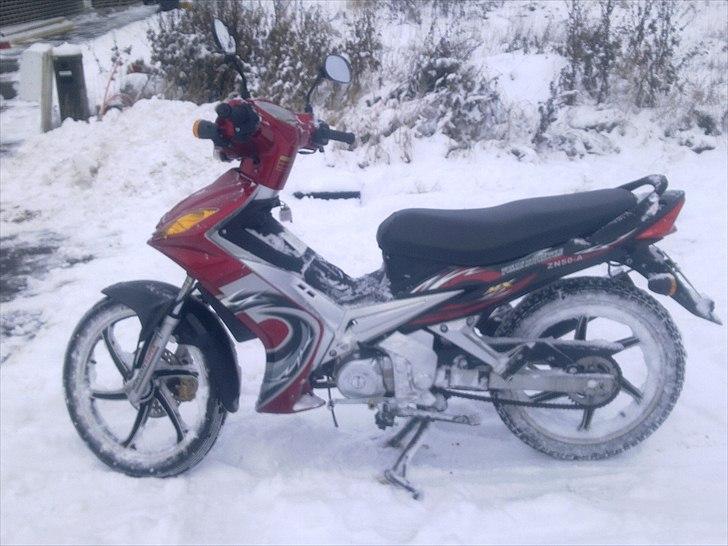 Suzuki Wonjan billede 13