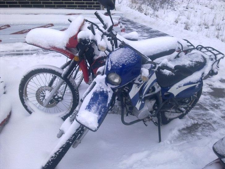 Suzuki Wonjan billede 14