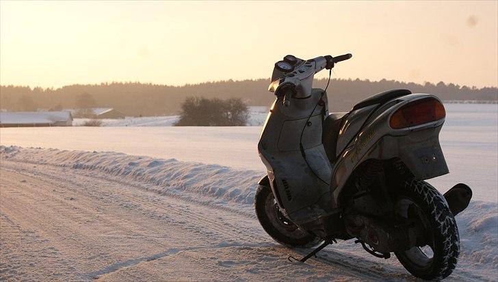 Derbi Predator LC DD (solgt) billede 3