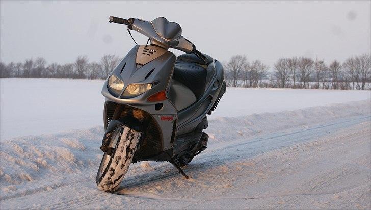 Derbi Predator LC DD (solgt) billede 4