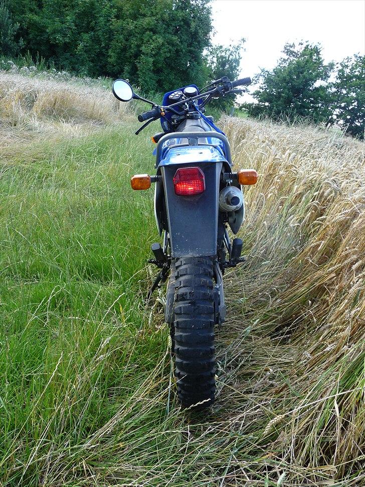 Suzuki SmX billede 3