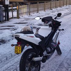 Rieju RS2 Matrix - 50ccm