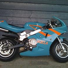 MiniBike Rizla+ Racer STJÅLET