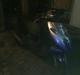 Aprilia evo sonic solgt