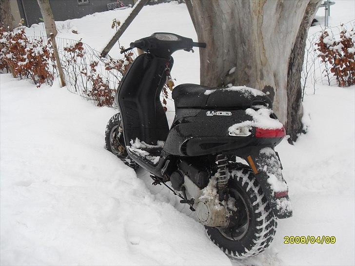 Piaggio typhoon projekt billede 4