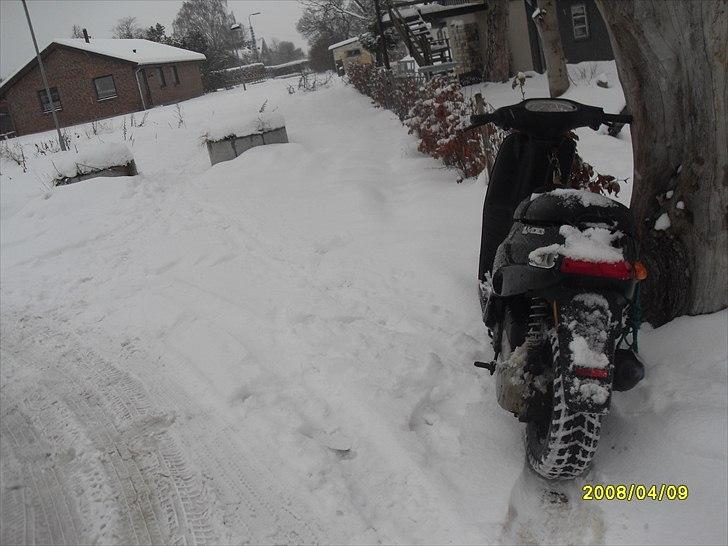 Piaggio typhoon projekt billede 5