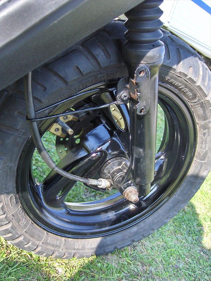 PGO Hot 50 (SOLGT) billede 7