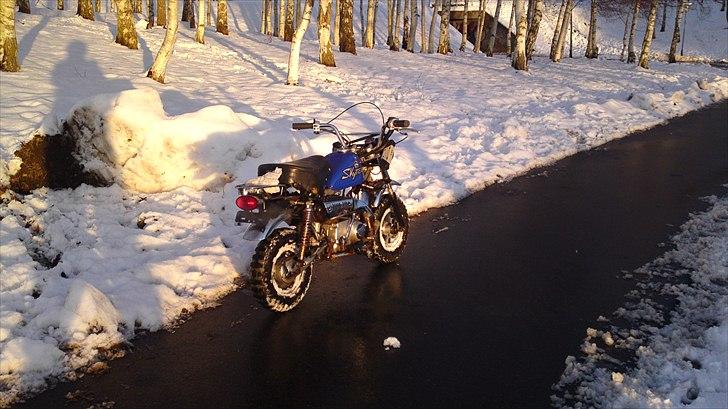 Skyteam Monkey Z 50 J - vinter 2010. billede 11