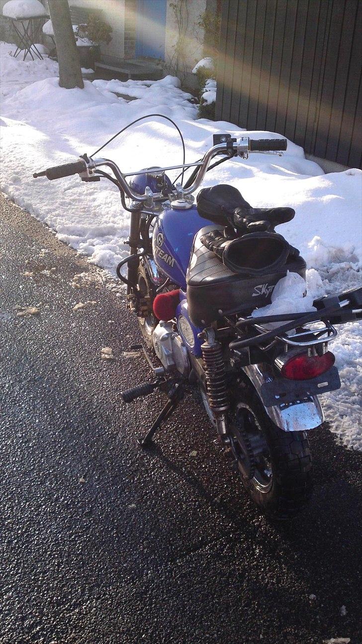 Skyteam Monkey Z 50 J - vinter 2010
hos monkey tommy billede 13