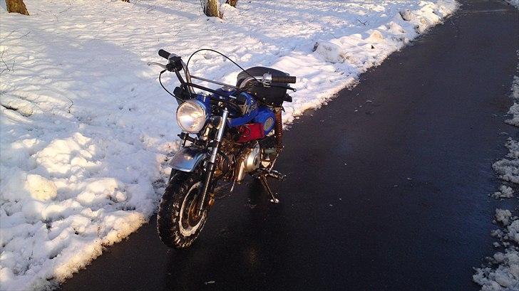 Skyteam Monkey Z 50 J - 2010 billede 14