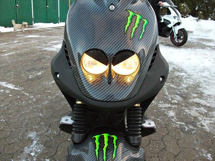 PGO Pmx naked carbon billede 2