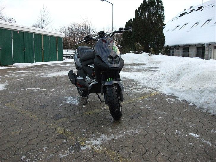 PGO Pmx naked carbon billede 4