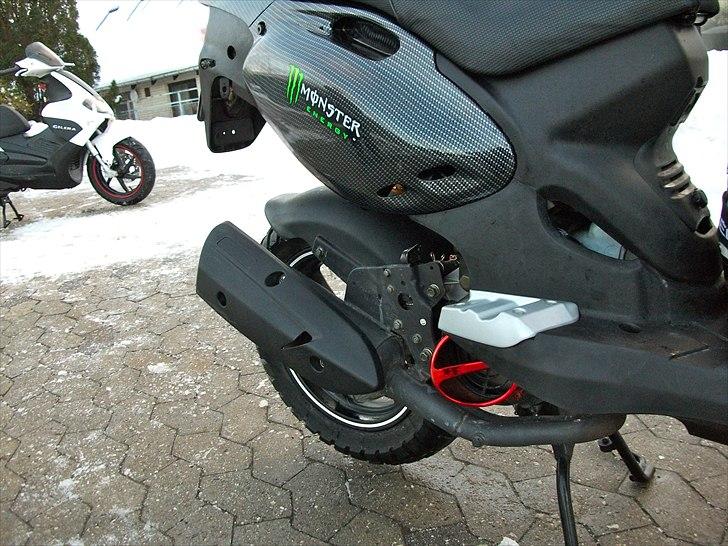 PGO Pmx naked carbon billede 10