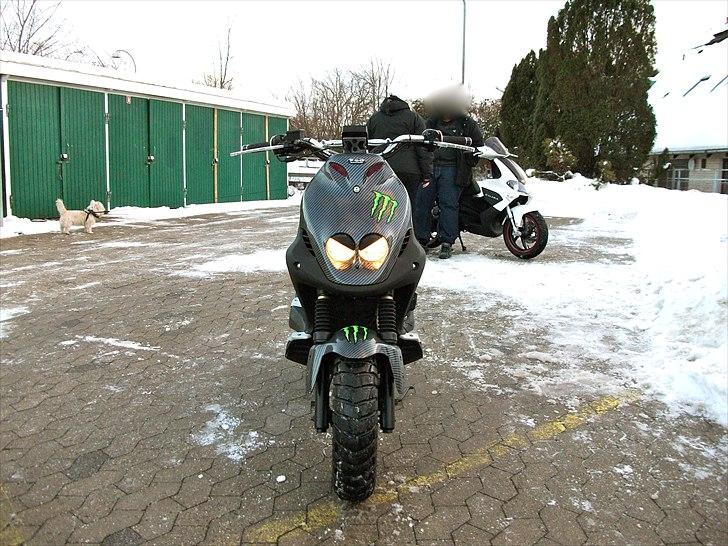 PGO Pmx naked carbon billede 13