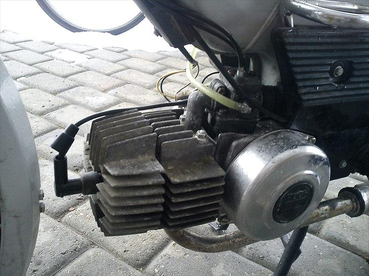 Puch Maxi  billede 3