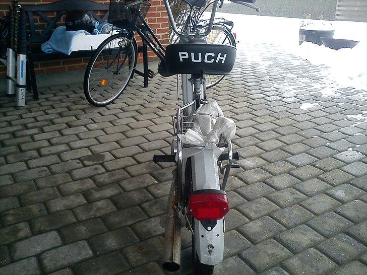 Puch Maxi  billede 5