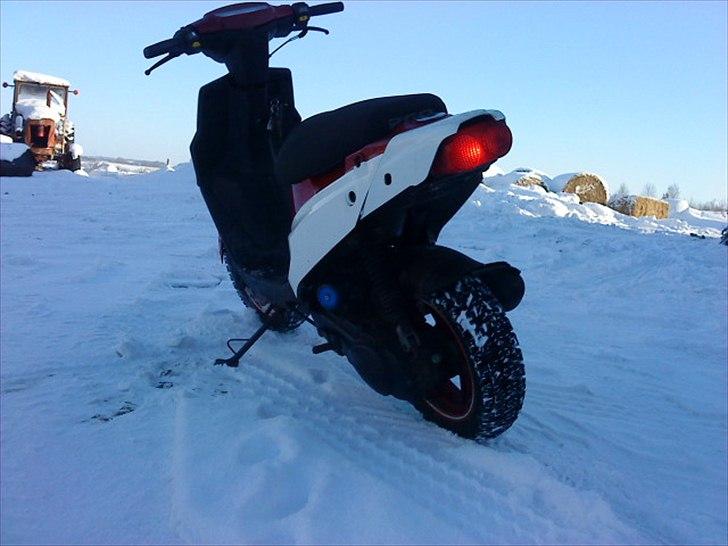 PGO hot 50 billede 6