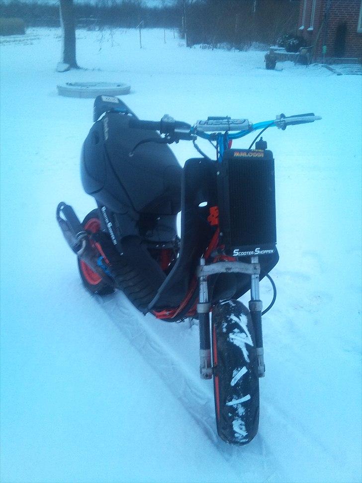 Blata ark LC billede 1