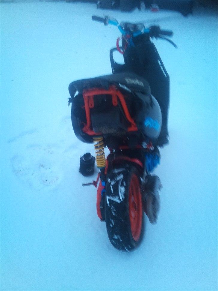 Blata ark LC billede 3