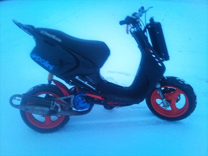 Blata ark LC billede 4