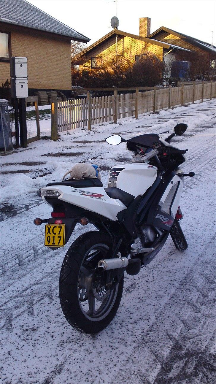 Rieju RS2 Matrix - 50ccm - Og så har jeg altid min racer-rotte med - med styrthjelm... billede 2