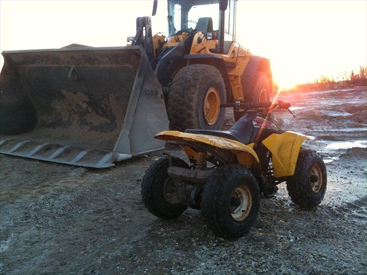 Suzuki LT 80 QUAD SPORT billede 3