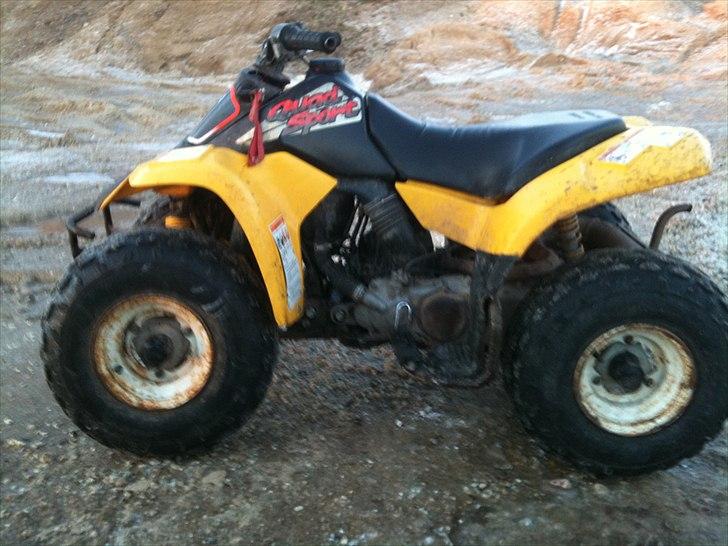 Suzuki LT 80 QUAD SPORT billede 5
