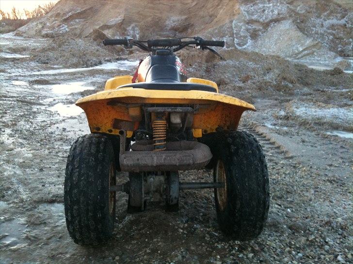 Suzuki LT 80 QUAD SPORT billede 6