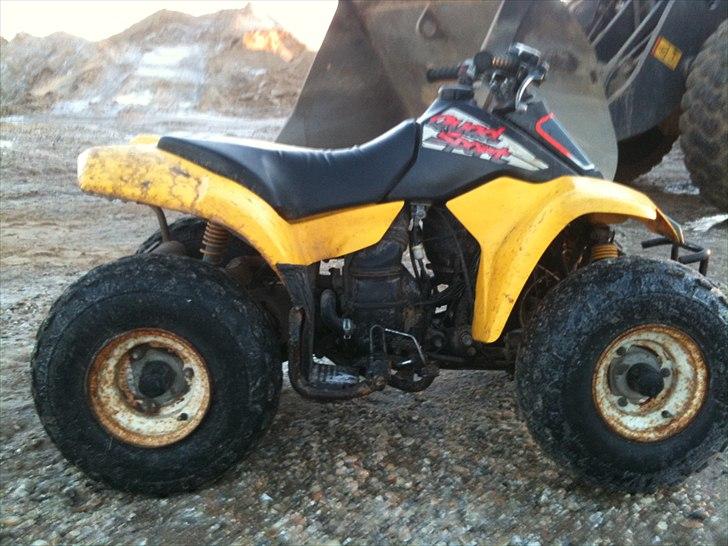 Suzuki LT 80 QUAD SPORT billede 7