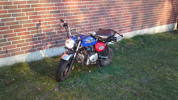 Skyteam Monkey Z 50 J - billeder 2010. billede 1