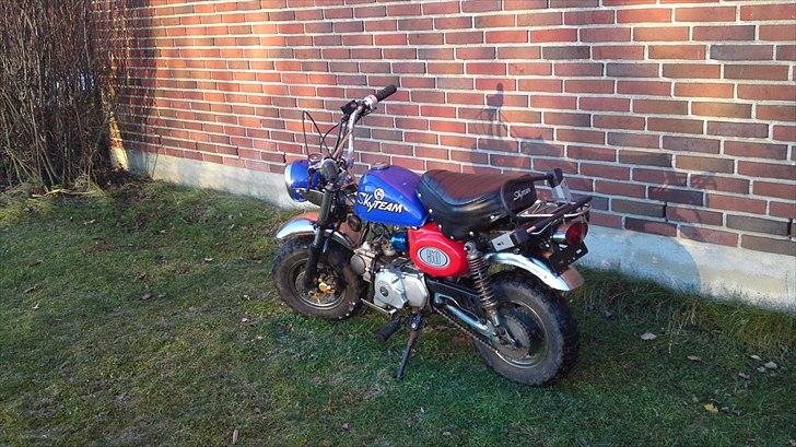 Skyteam Monkey Z 50 J - billeder 2010 billede 2