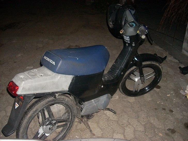 Honda Wallaroo Solgt billede 3